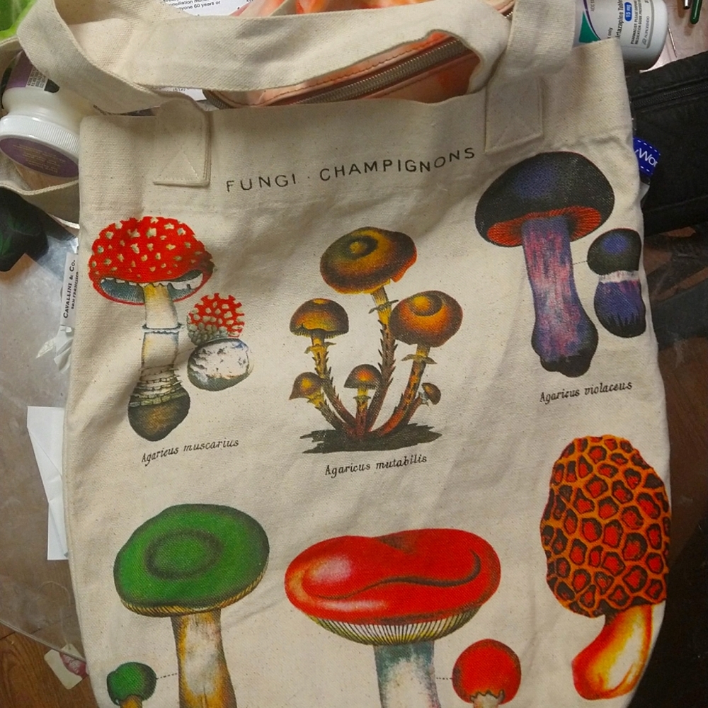 Cavallini &co mushroom tote bag